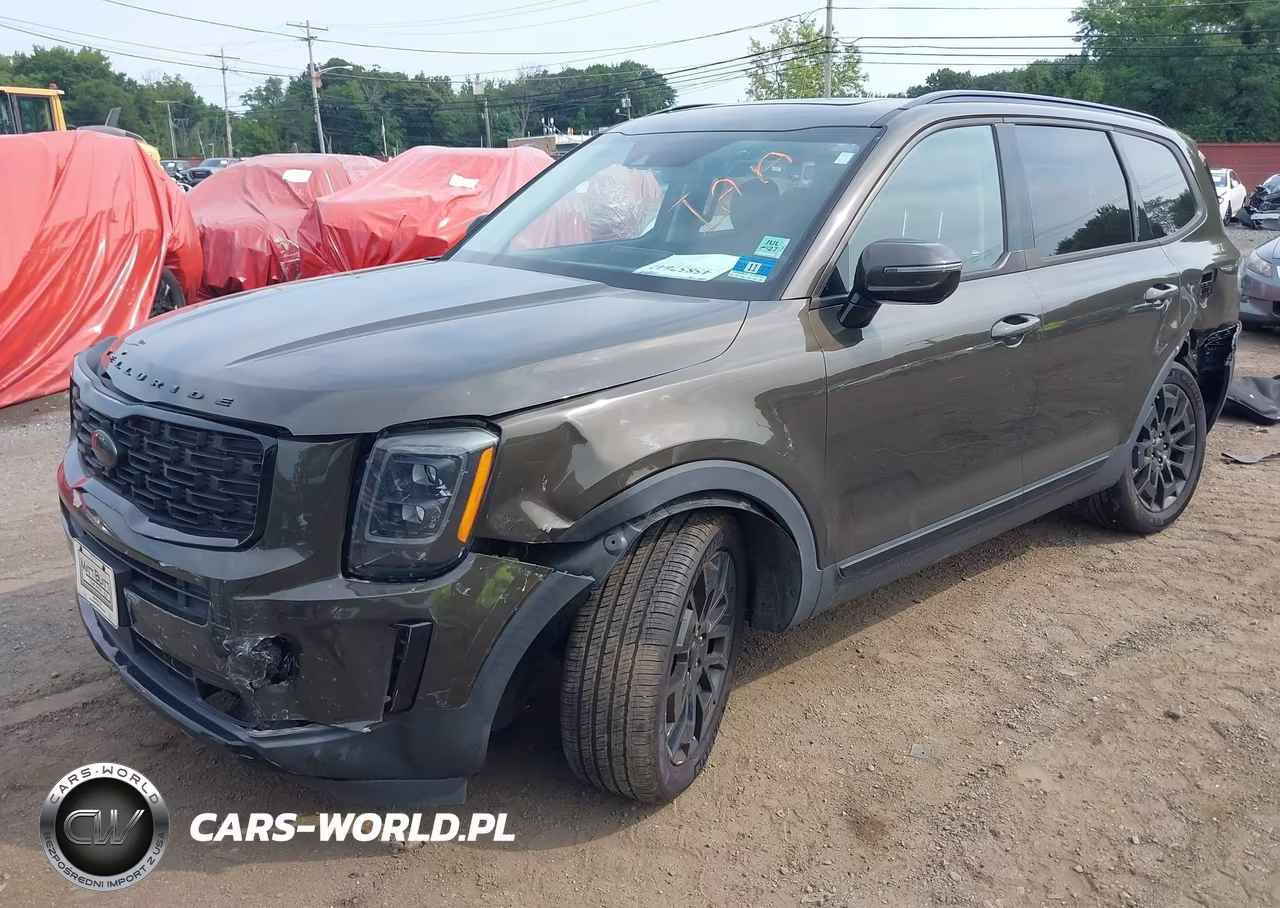 2021 Kia Telluride Sx VIN:5XYP5DHC4MG111382 - 2