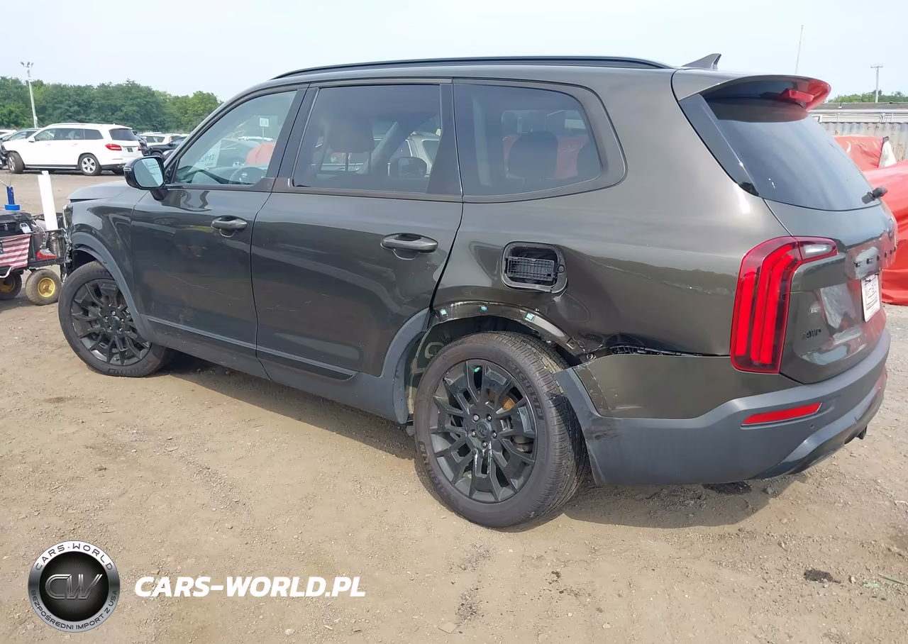 2021 Kia Telluride Sx VIN:5XYP5DHC4MG111382 - 3