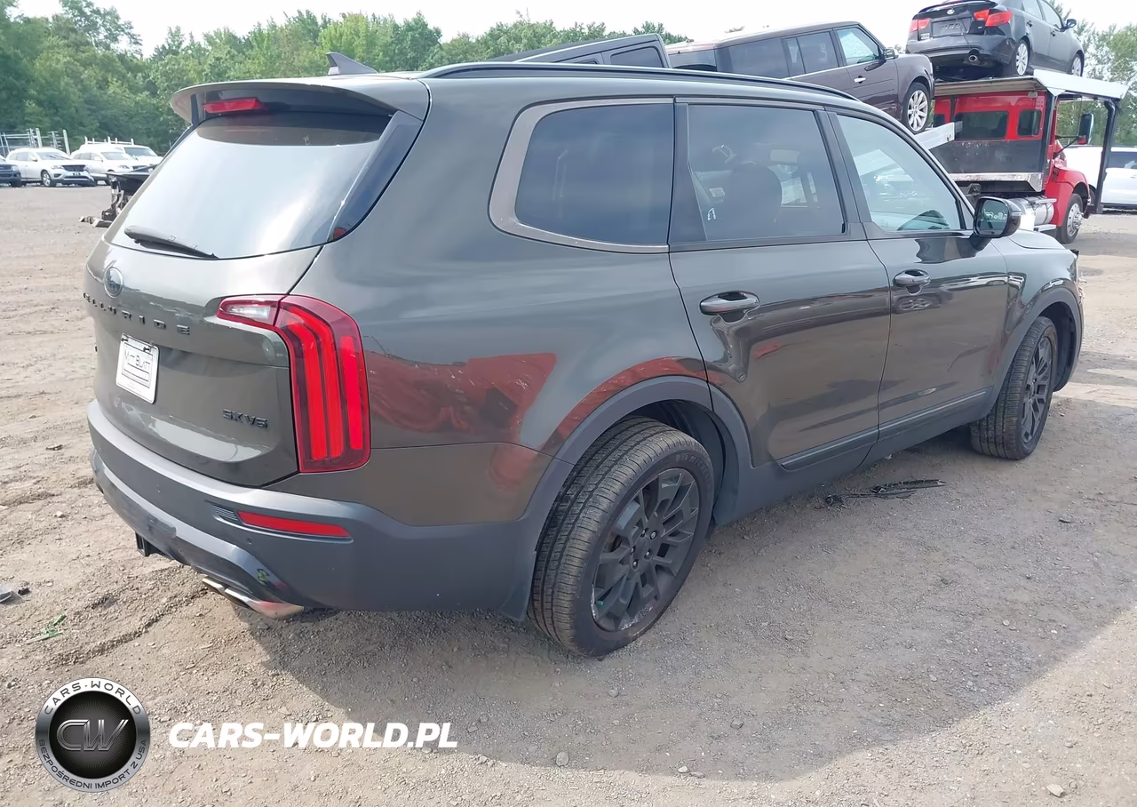 2021 Kia Telluride Sx VIN:5XYP5DHC4MG111382 - 4