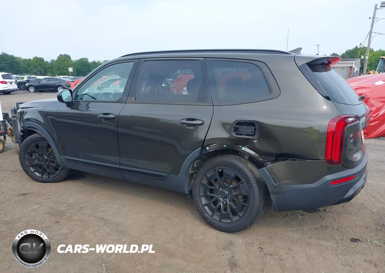 2021 Kia Telluride Sx VIN:5XYP5DHC4MG111382 - 6