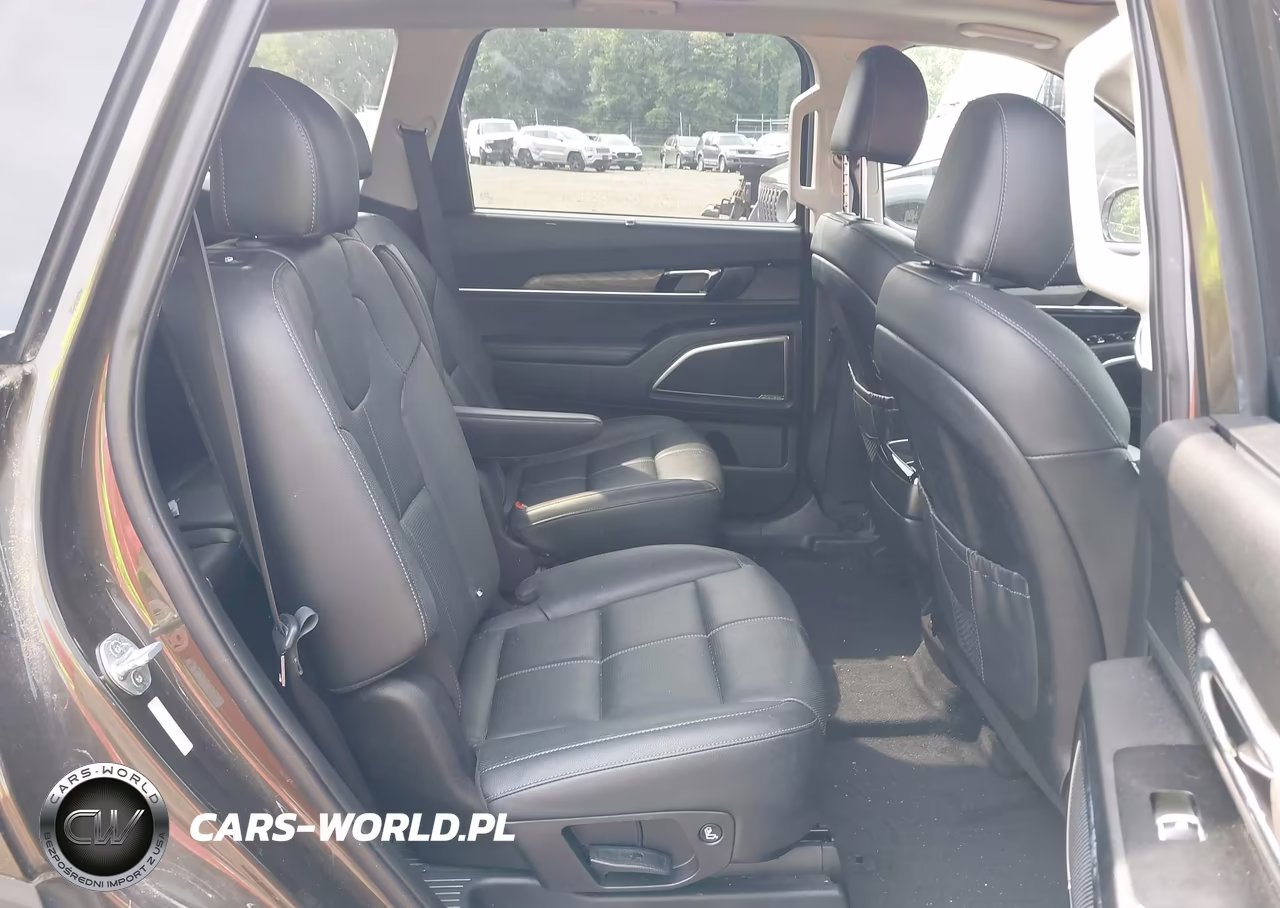 2021 Kia Telluride Sx VIN:5XYP5DHC4MG111382 - 8