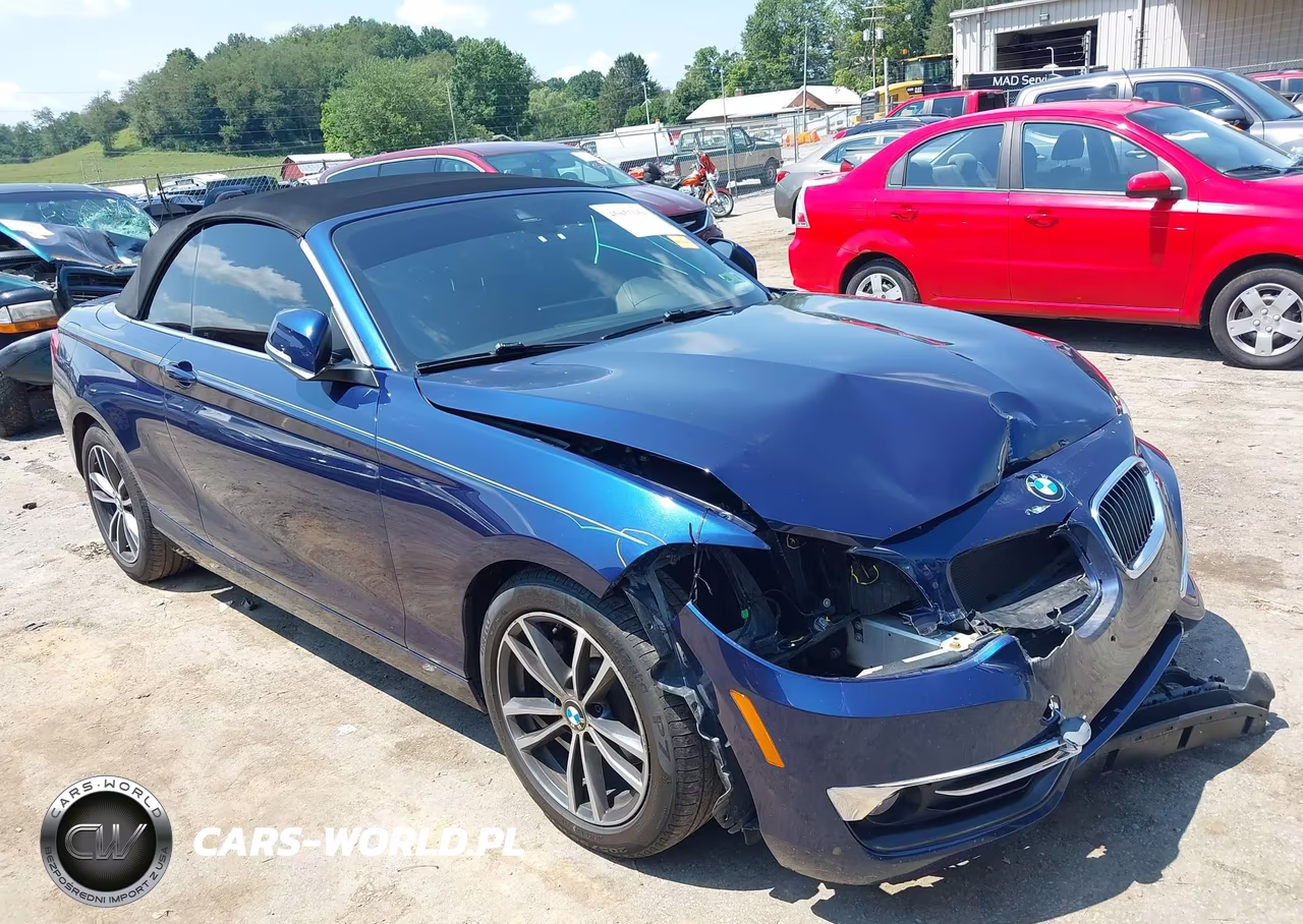 2018 BMW 230I xDrive VIN:WBA2K1C51JVB28932 - 1