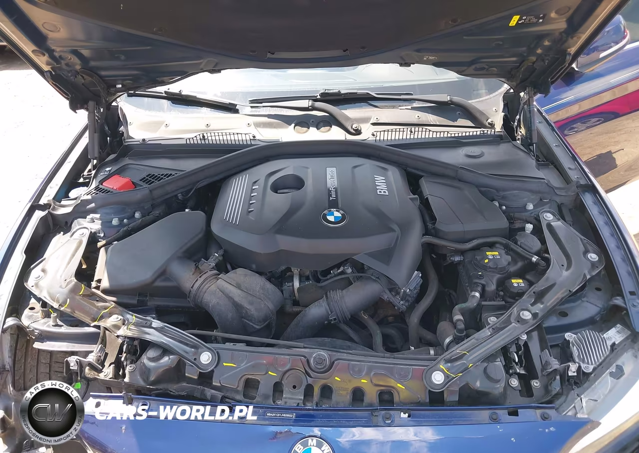 2018 BMW 230I xDrive VIN:WBA2K1C51JVB28932 - 10