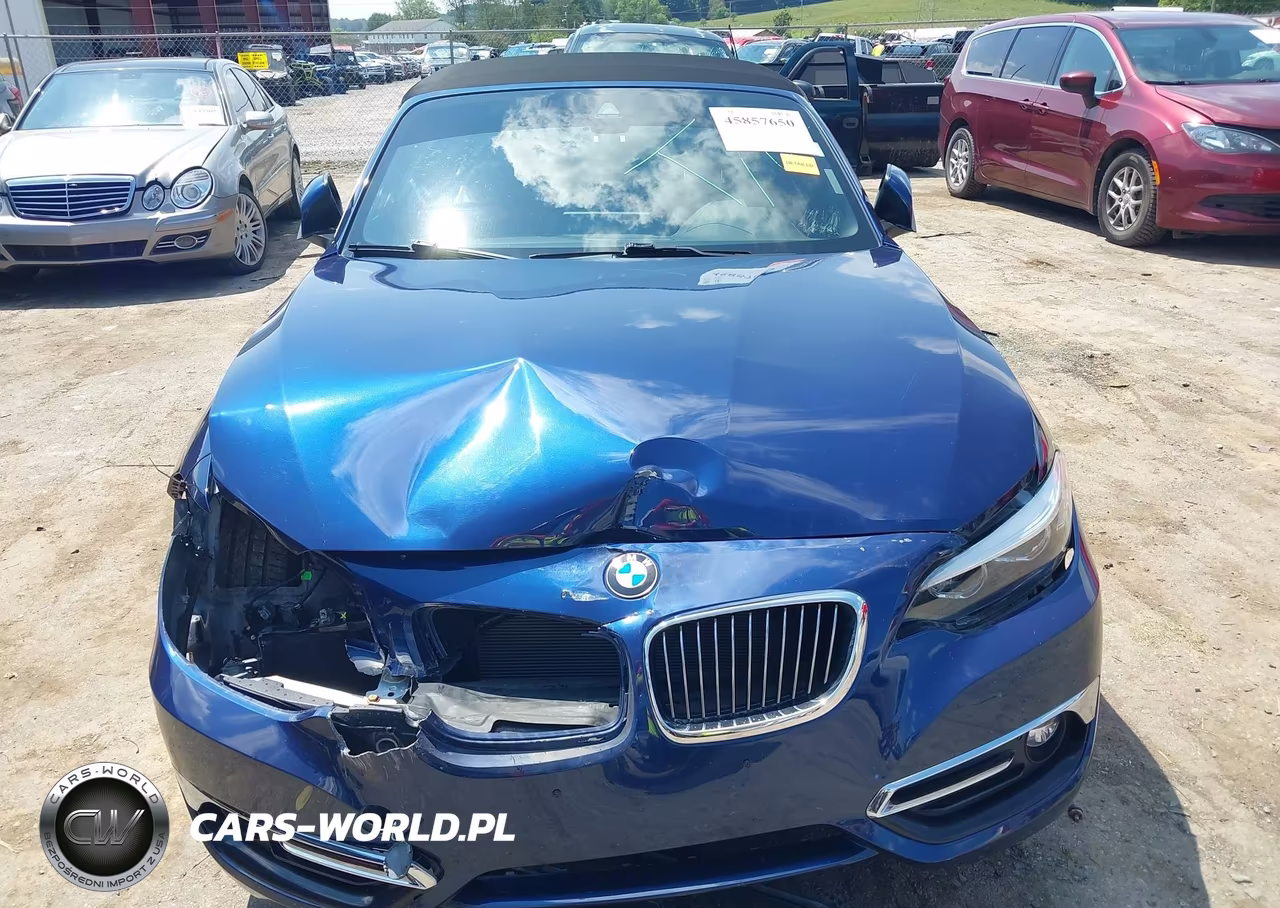 2018 BMW 230I xDrive VIN:WBA2K1C51JVB28932 - 12