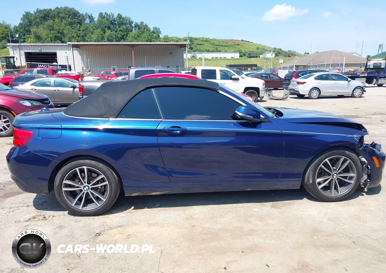 2018 BMW 230I xDrive VIN:WBA2K1C51JVB28932 - 13