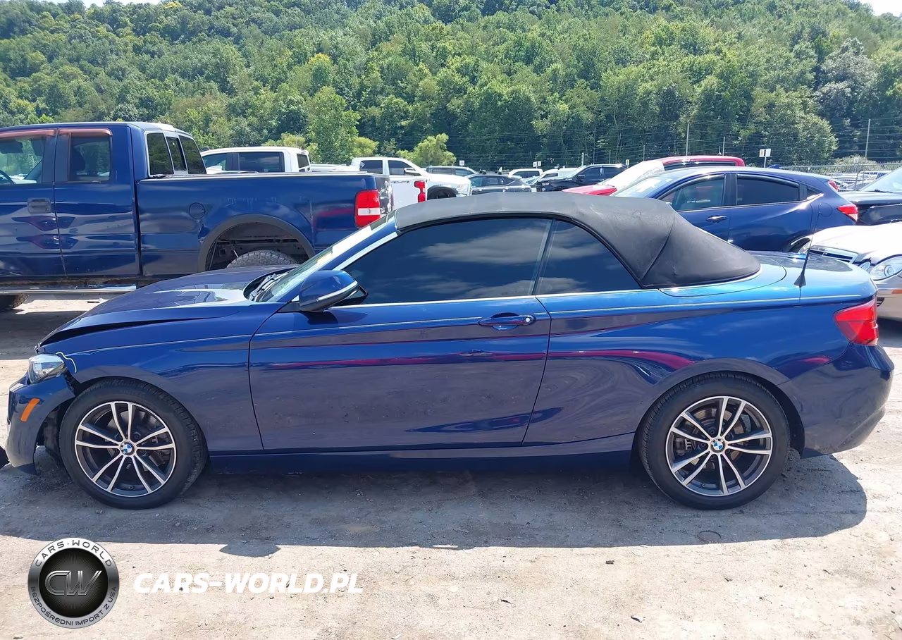 2018 BMW 230I xDrive VIN:WBA2K1C51JVB28932 - 14