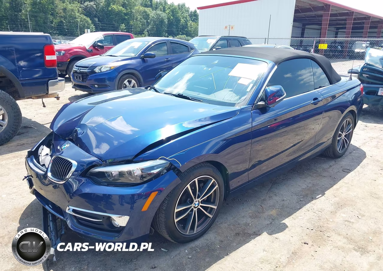 2018 BMW 230I xDrive VIN:WBA2K1C51JVB28932 - 2
