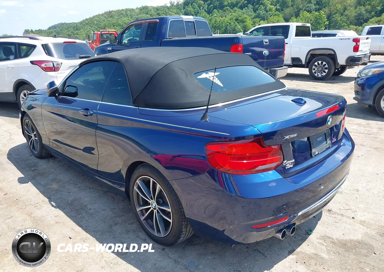 2018 BMW 230I xDrive VIN:WBA2K1C51JVB28932 - 3