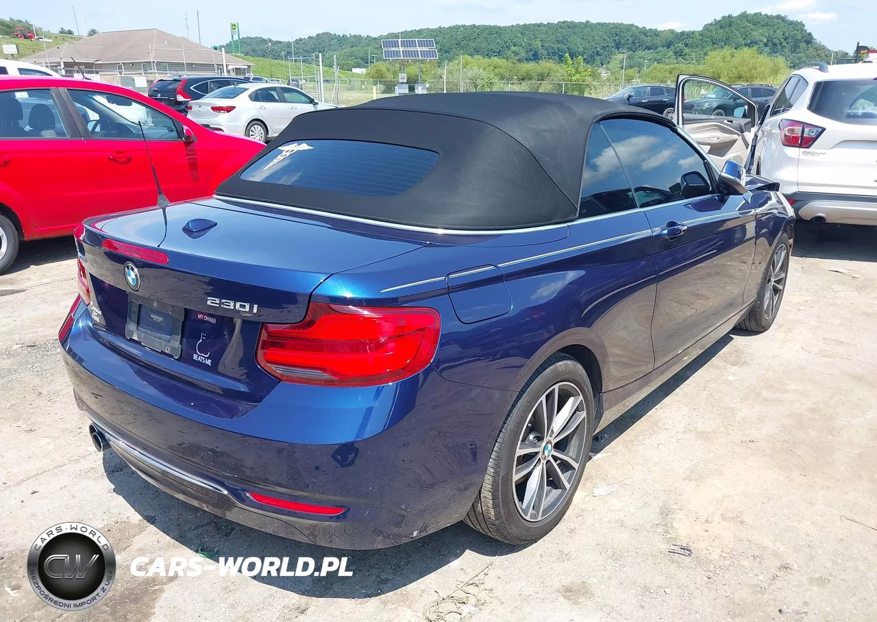 2018 BMW 230I xDrive VIN:WBA2K1C51JVB28932 - 4
