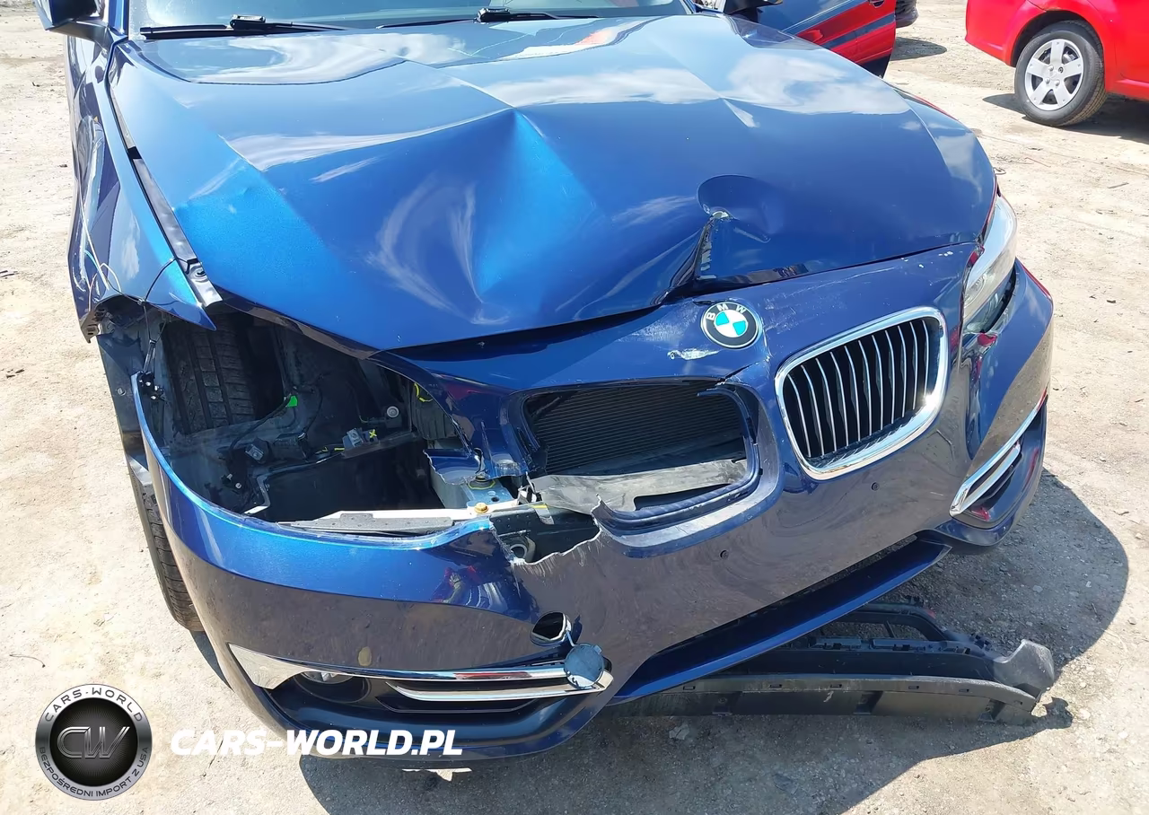 2018 BMW 230I xDrive VIN:WBA2K1C51JVB28932 - 6