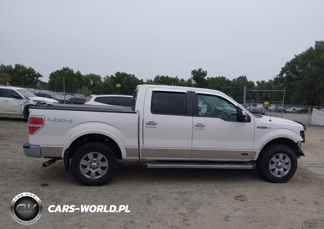 2010 Ford F-150 Fx4-Harley-Davidson-King Ranch-Lariat-Platinum-Xl-Xlt VIN:1FTFW1EV1AFC07630 - 13