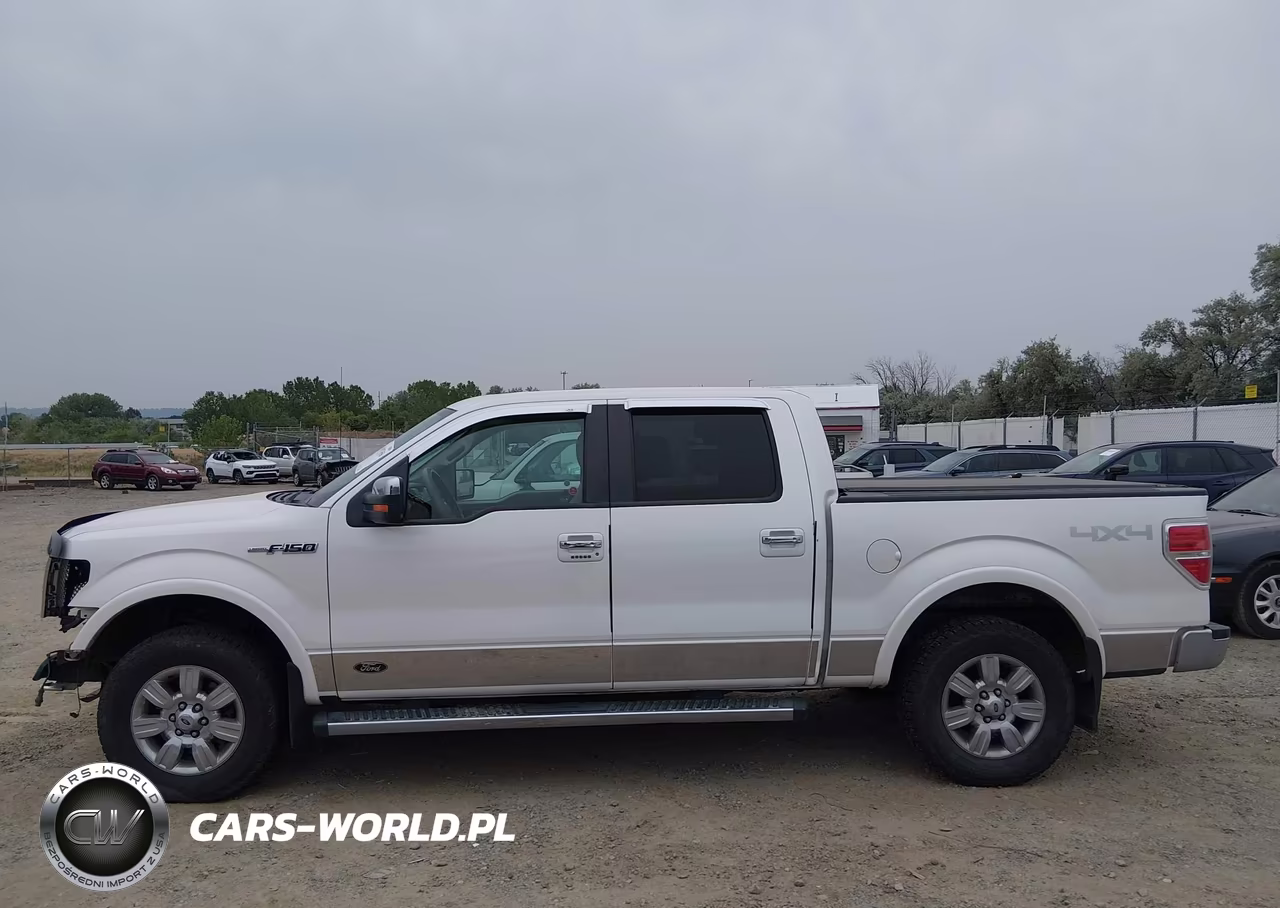 2010 Ford F-150 Fx4-Harley-Davidson-King Ranch-Lariat-Platinum-Xl-Xlt VIN:1FTFW1EV1AFC07630 - 14