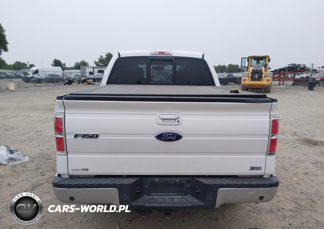 2010 Ford F-150 Fx4-Harley-Davidson-King Ranch-Lariat-Platinum-Xl-Xlt VIN:1FTFW1EV1AFC07630 - 16