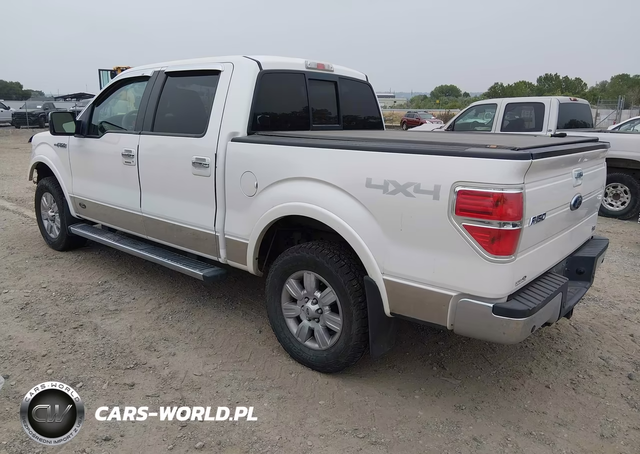 2010 Ford F-150 Fx4-Harley-Davidson-King Ranch-Lariat-Platinum-Xl-Xlt VIN:1FTFW1EV1AFC07630 - 3
