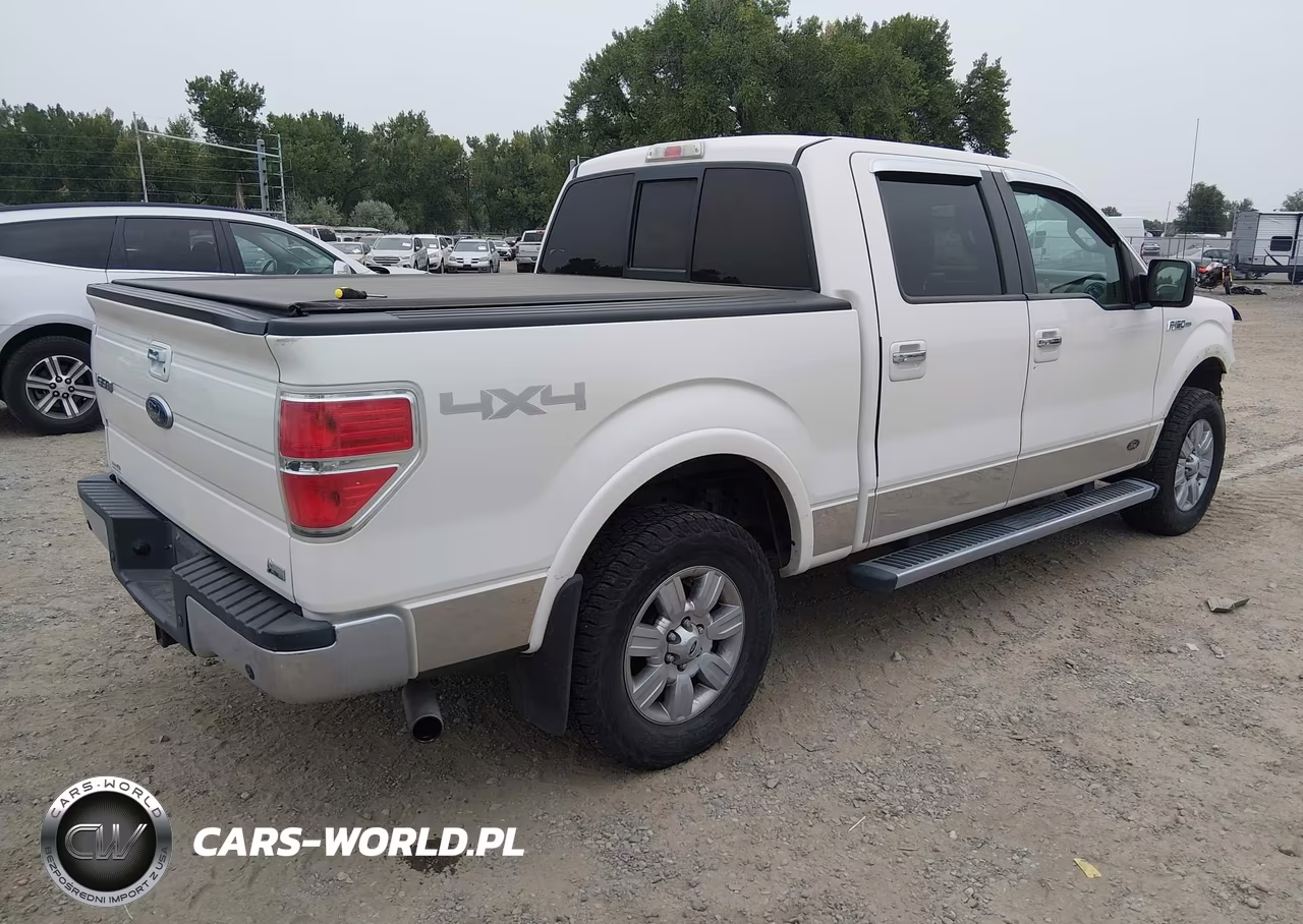 2010 Ford F-150 Fx4-Harley-Davidson-King Ranch-Lariat-Platinum-Xl-Xlt VIN:1FTFW1EV1AFC07630 - 4