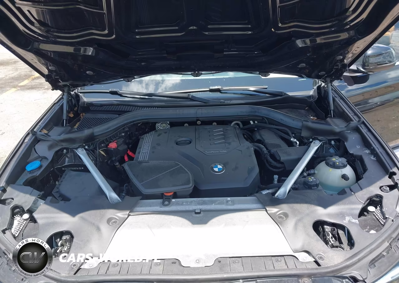 2024 BMW X4 xDrive30I VIN:5UX33DT05R9T94156 - 10