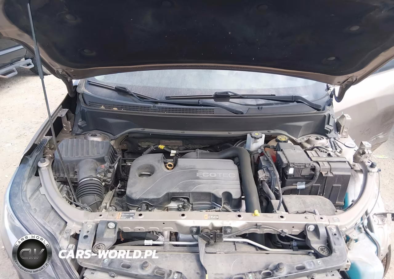 2019 Chevrolet Equinox Lt VIN:2GNAXJEV3K6163592 - 10