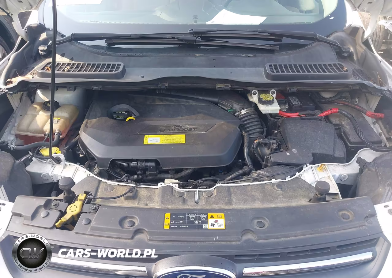 2013 Ford Escape Se VIN:1FMCU0GX6DUC04395 - 10