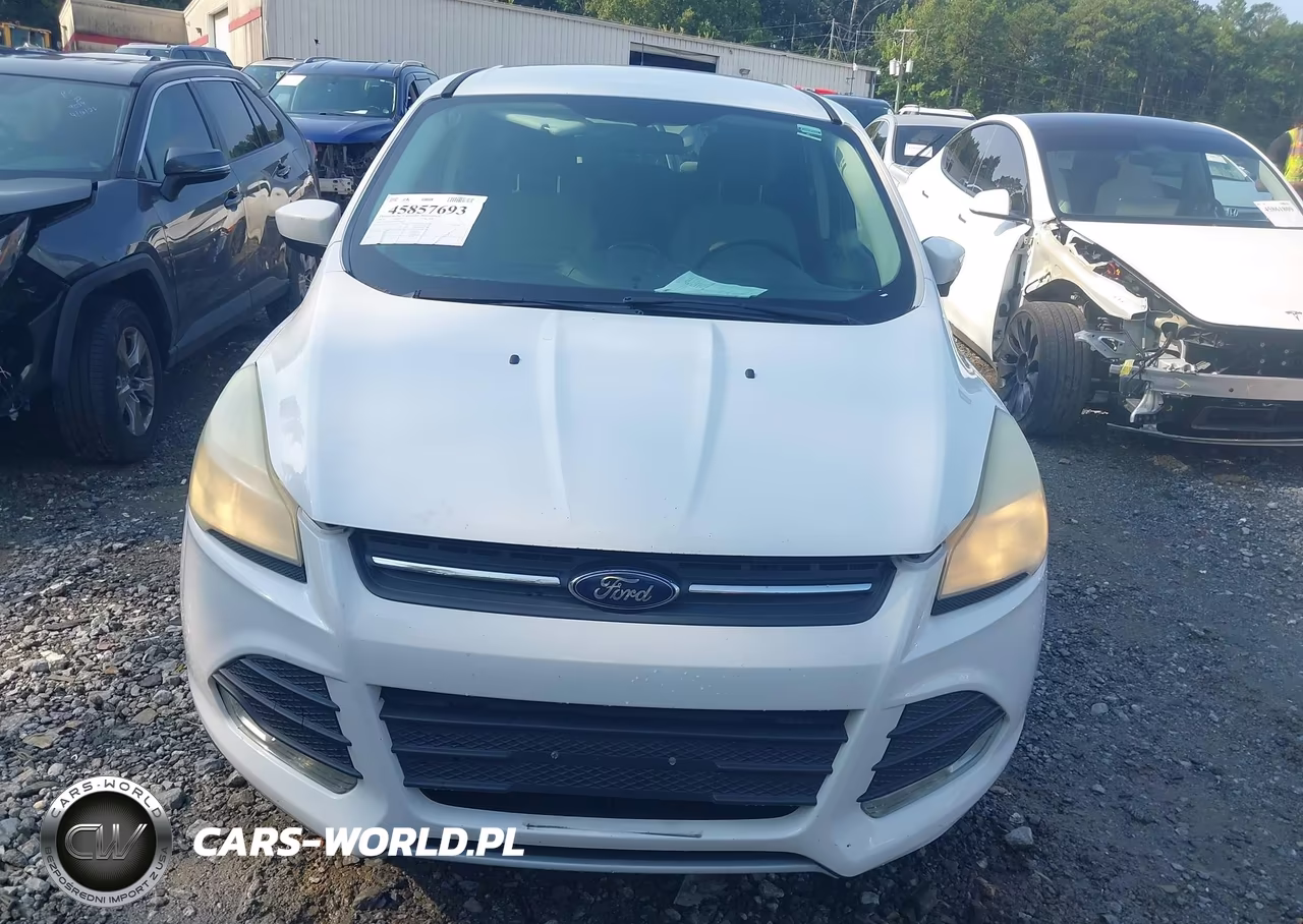 2013 Ford Escape Se VIN:1FMCU0GX6DUC04395 - 12