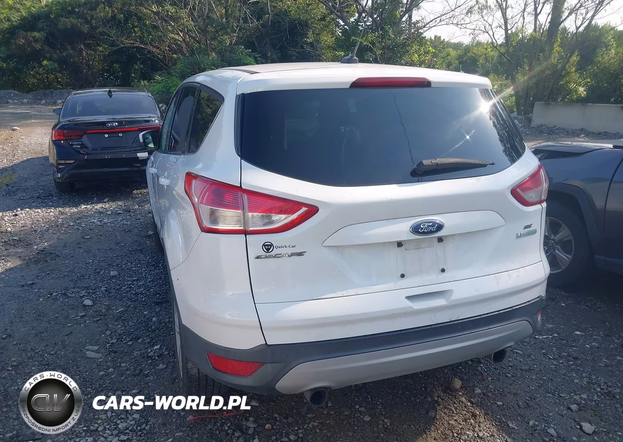 2013 Ford Escape Se VIN:1FMCU0GX6DUC04395 - 3