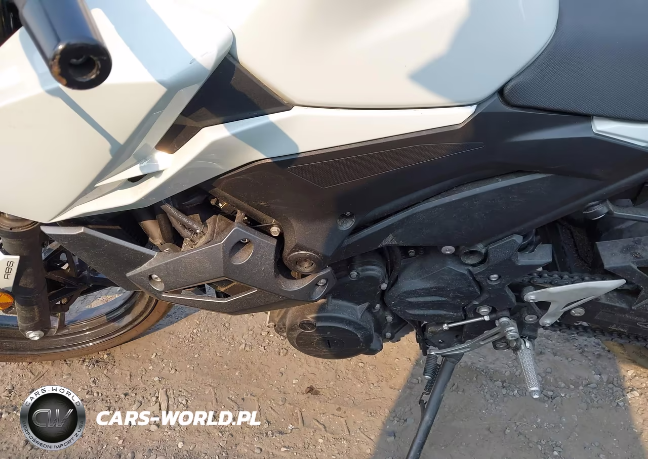 2023 Kawasaki Er400 D VIN:JKAERKD10PDAN0634 - 9