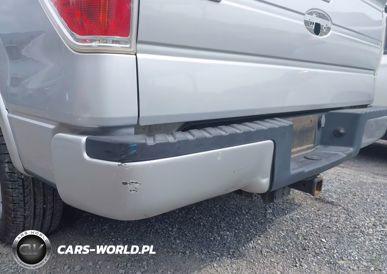 2010 Ford F-150 Fx2 Sport-Xl-Xlt VIN:1FTEW1C81AKE59197 - 12