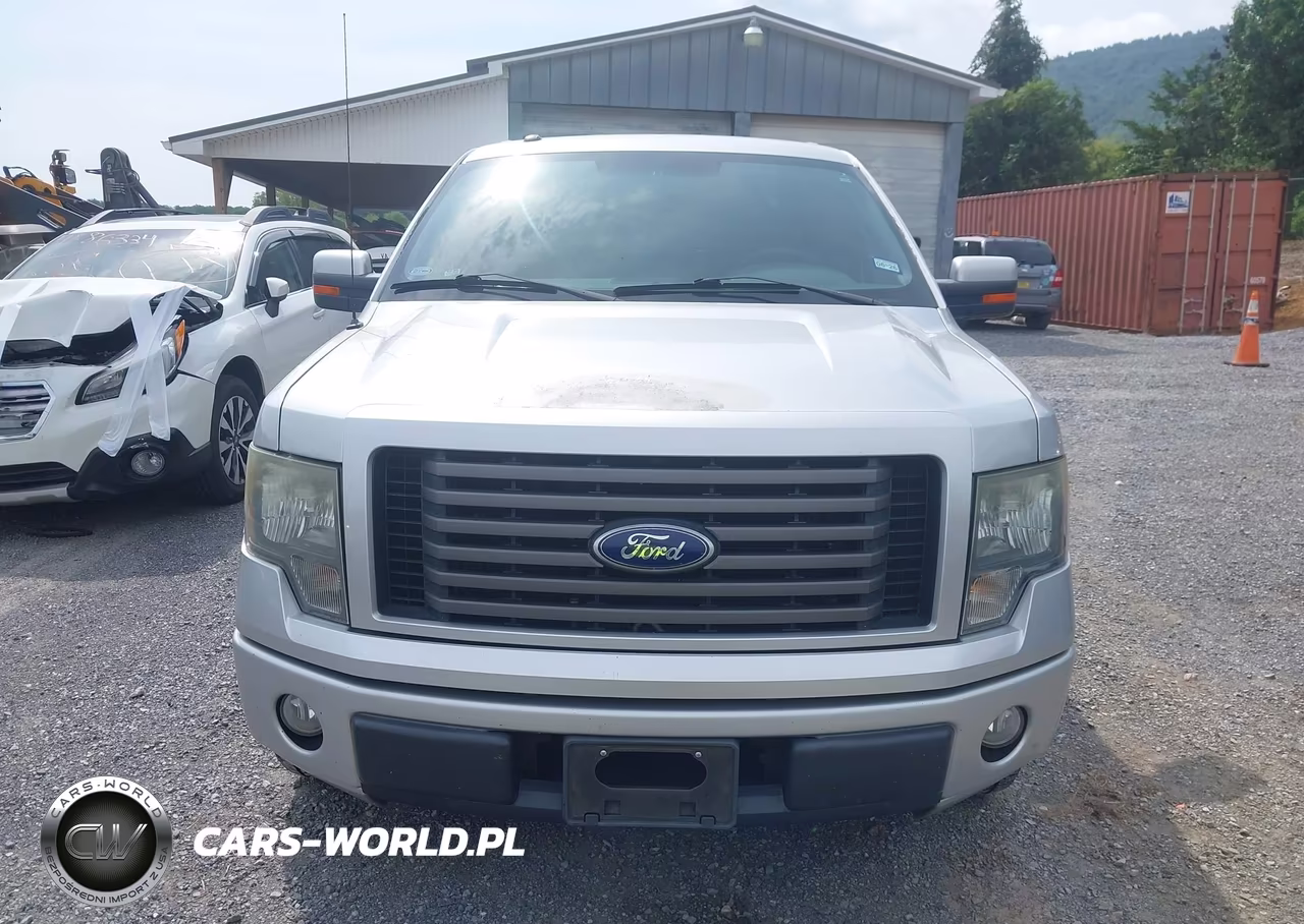 2010 Ford F-150 Fx2 Sport-Xl-Xlt VIN:1FTEW1C81AKE59197 - 13