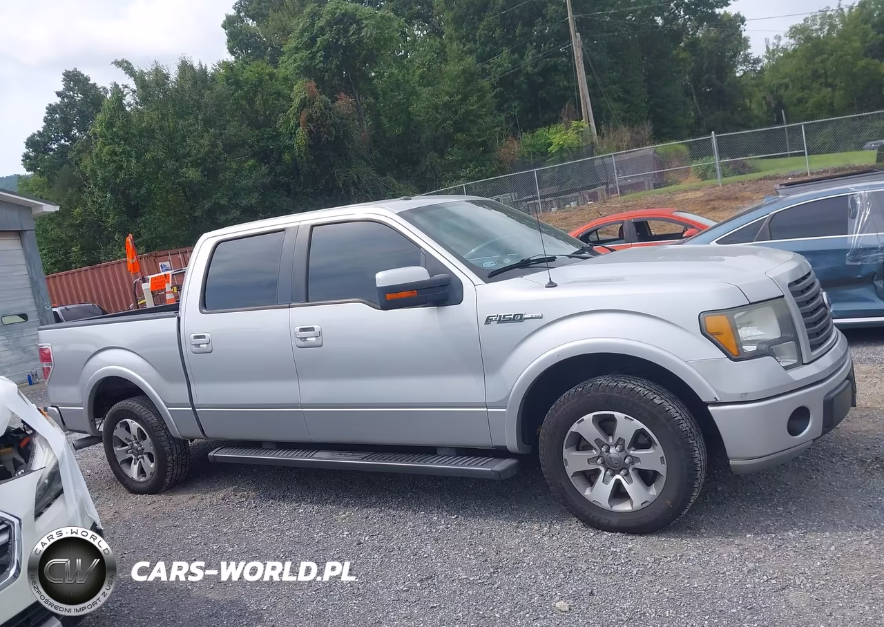 2010 Ford F-150 Fx2 Sport-Xl-Xlt VIN:1FTEW1C81AKE59197 - 14