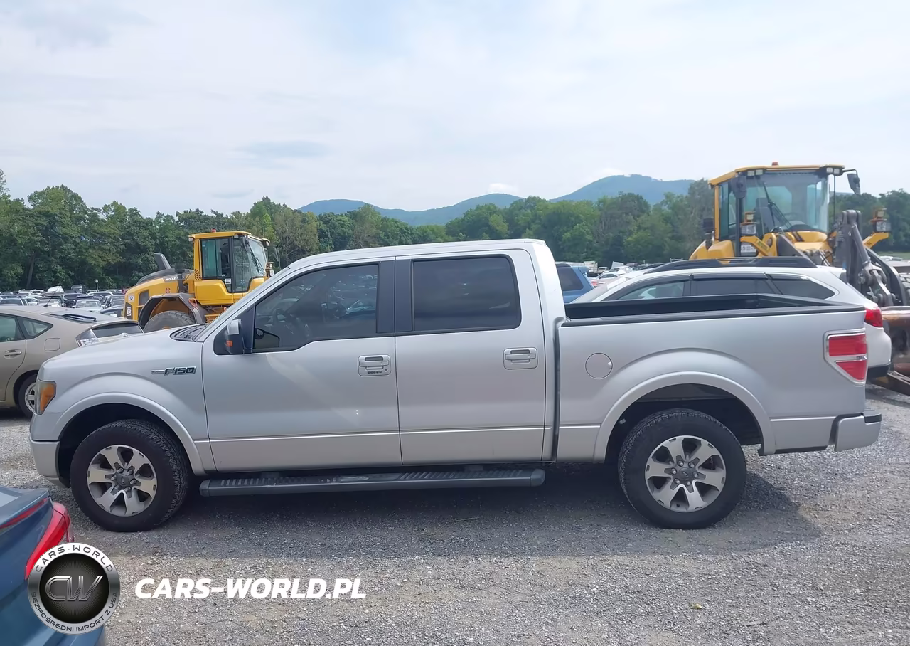 2010 Ford F-150 Fx2 Sport-Xl-Xlt VIN:1FTEW1C81AKE59197 - 15