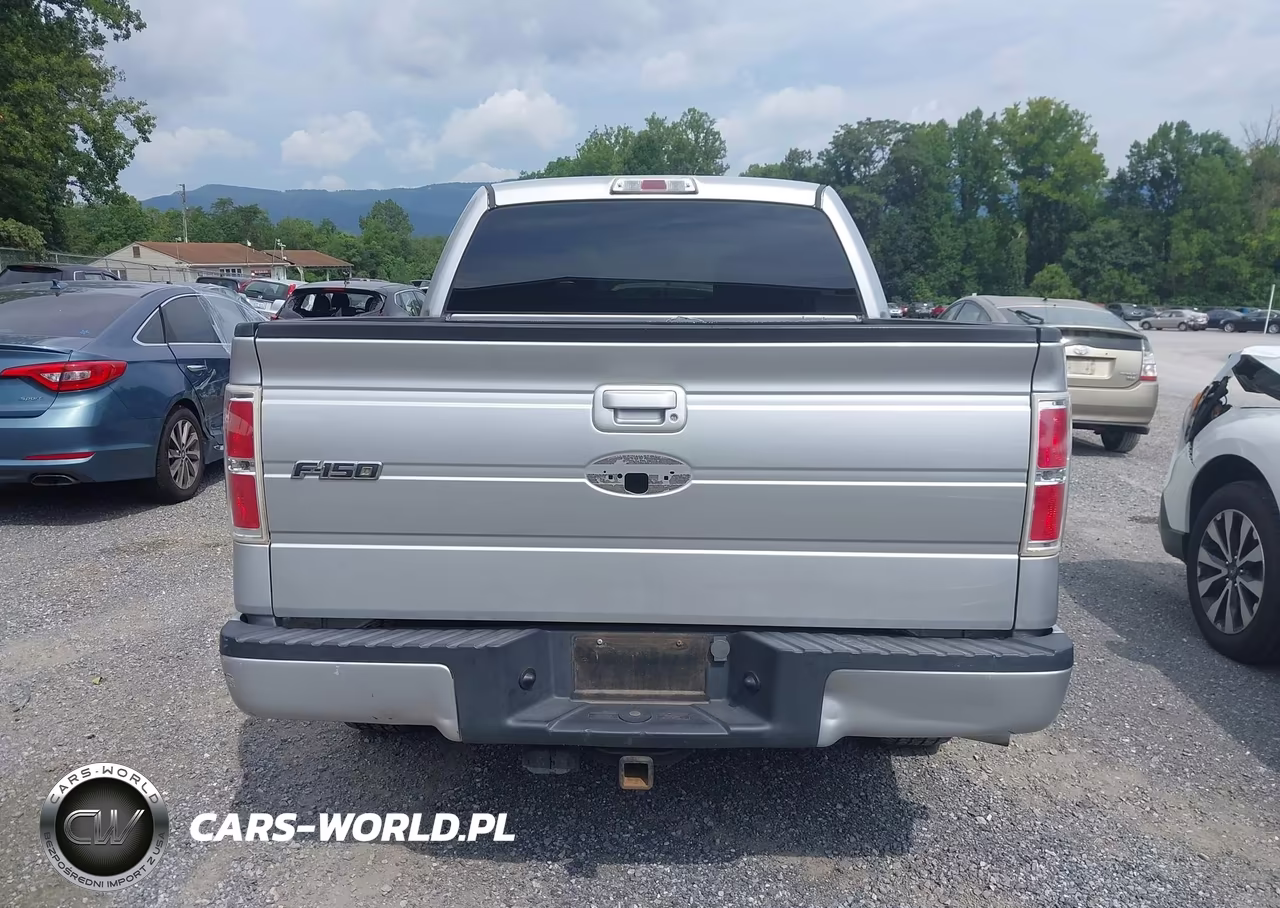 2010 Ford F-150 Fx2 Sport-Xl-Xlt VIN:1FTEW1C81AKE59197 - 17