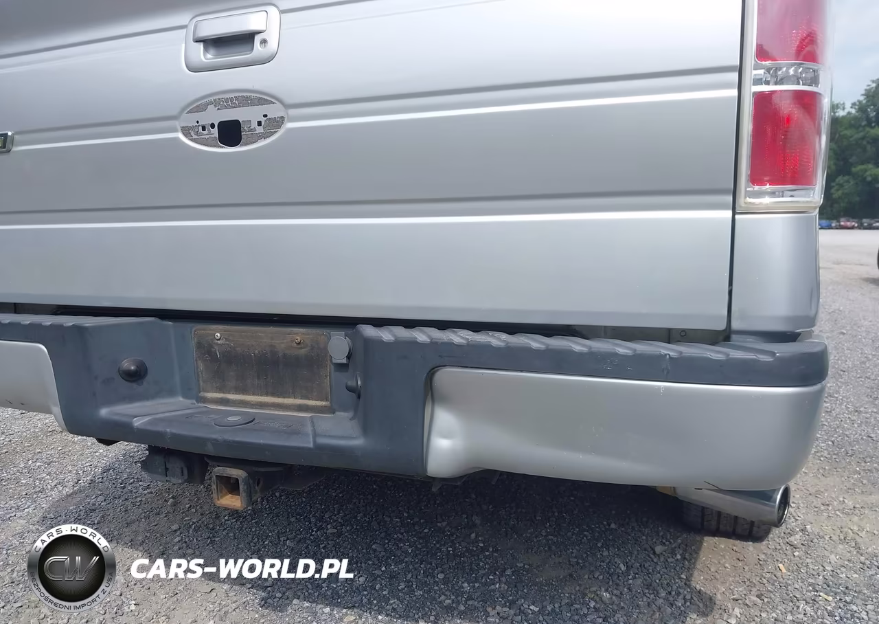 2010 Ford F-150 Fx2 Sport-Xl-Xlt VIN:1FTEW1C81AKE59197 - 18