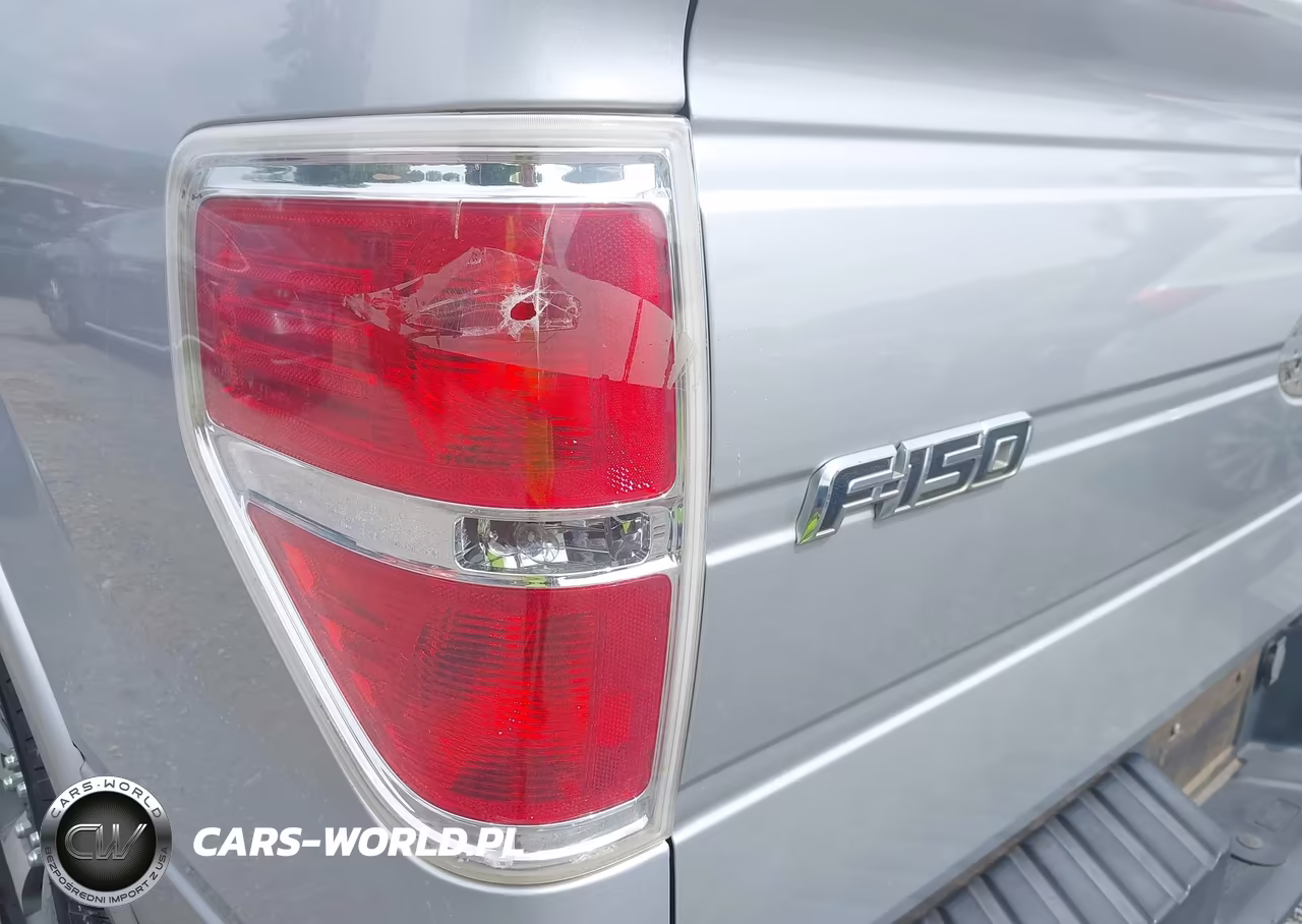 2010 Ford F-150 Fx2 Sport-Xl-Xlt VIN:1FTEW1C81AKE59197 - 22