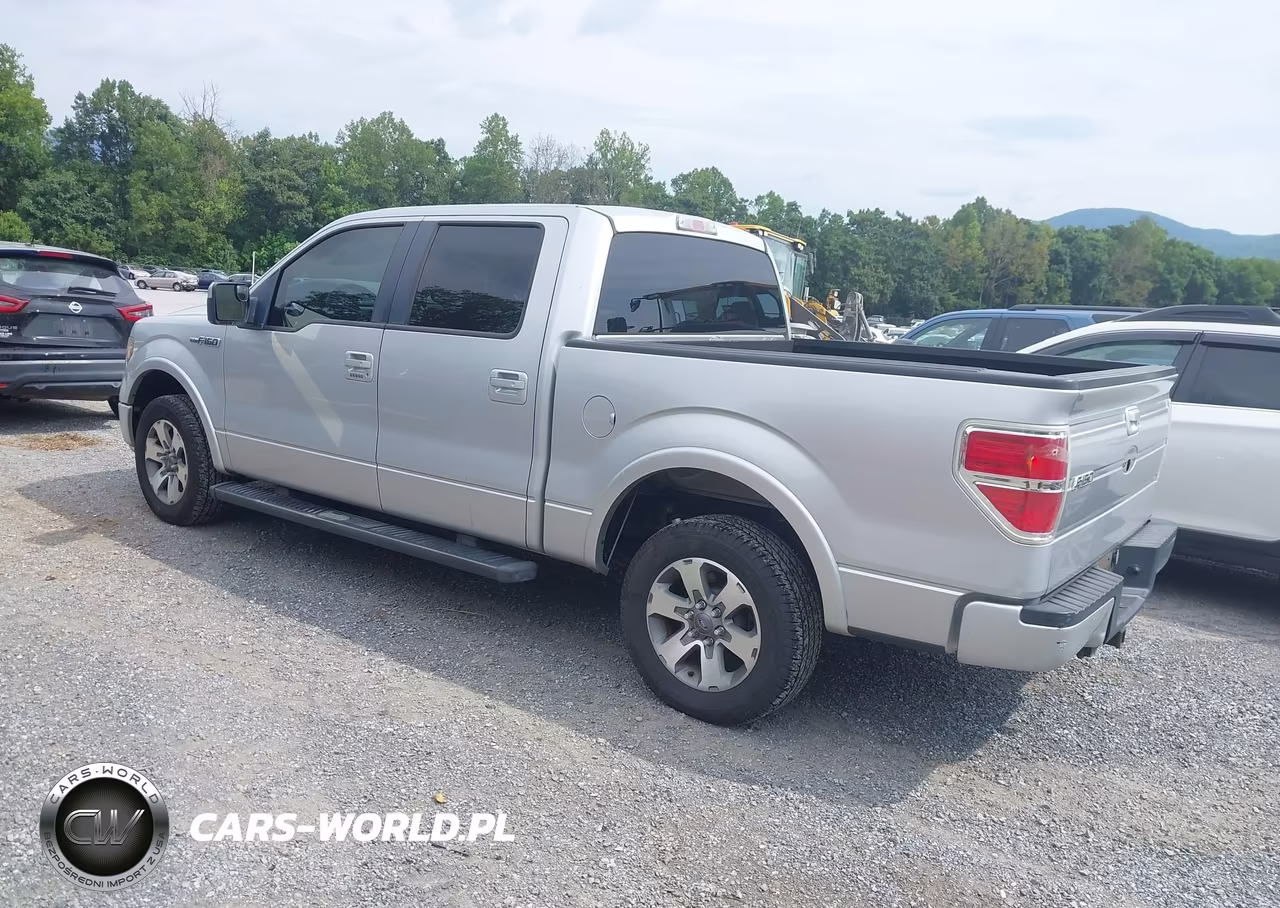 2010 Ford F-150 Fx2 Sport-Xl-Xlt VIN:1FTEW1C81AKE59197 - 3