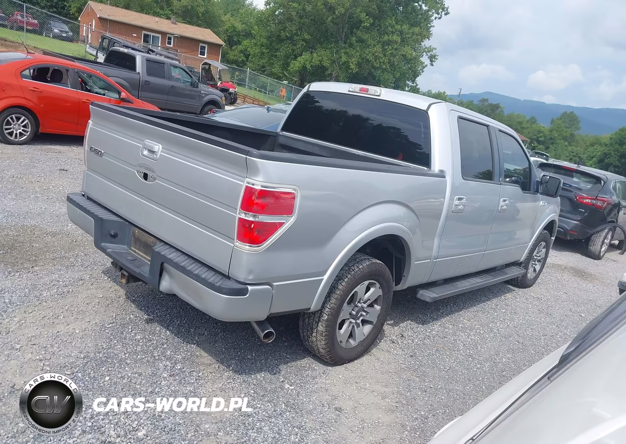 2010 Ford F-150 Fx2 Sport-Xl-Xlt VIN:1FTEW1C81AKE59197 - 4
