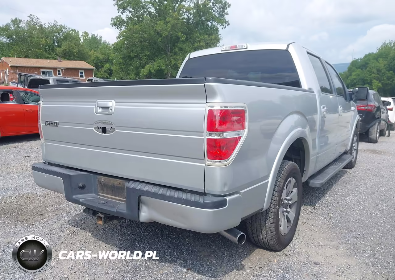 2010 Ford F-150 Fx2 Sport-Xl-Xlt VIN:1FTEW1C81AKE59197 - 6