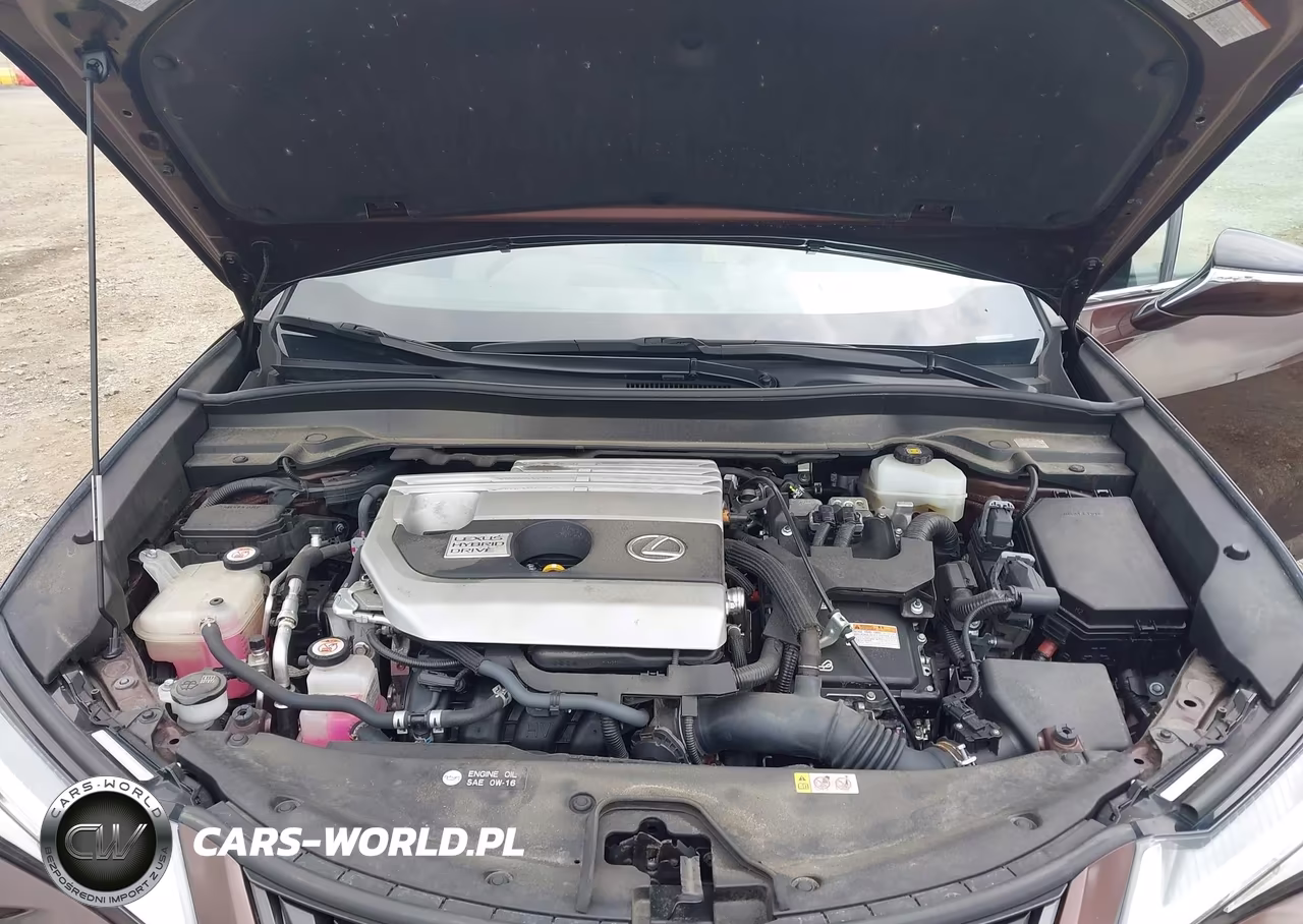 2019 Lexus Ux 250H VIN:JTHU9JBH2K2011474 - 10