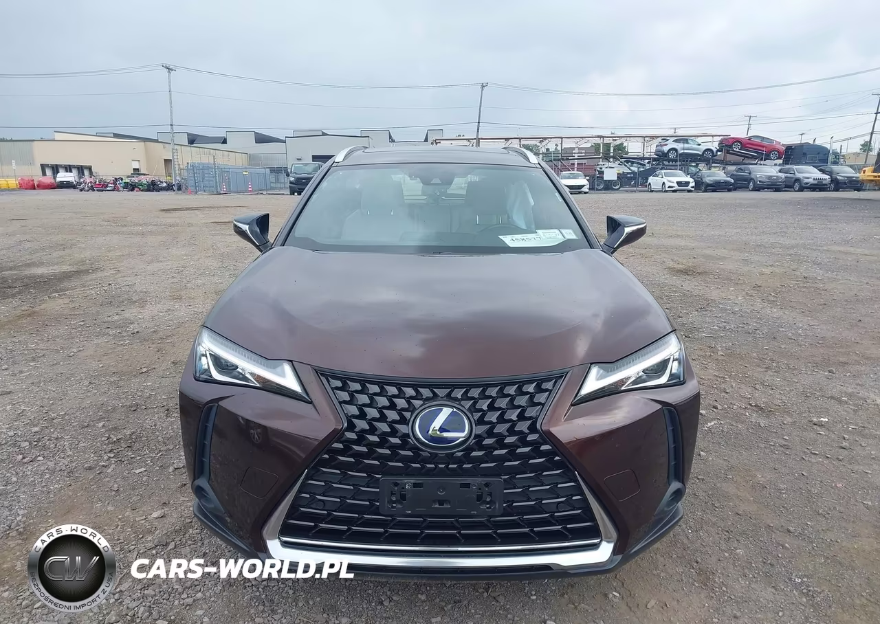 2019 Lexus Ux 250H VIN:JTHU9JBH2K2011474 - 13