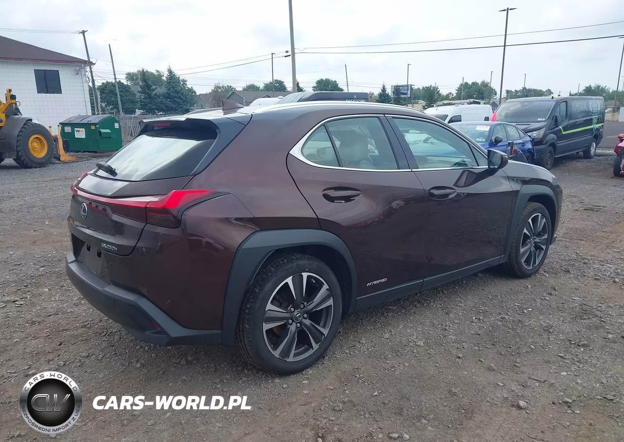 2019 Lexus Ux 250H VIN:JTHU9JBH2K2011474 - 4