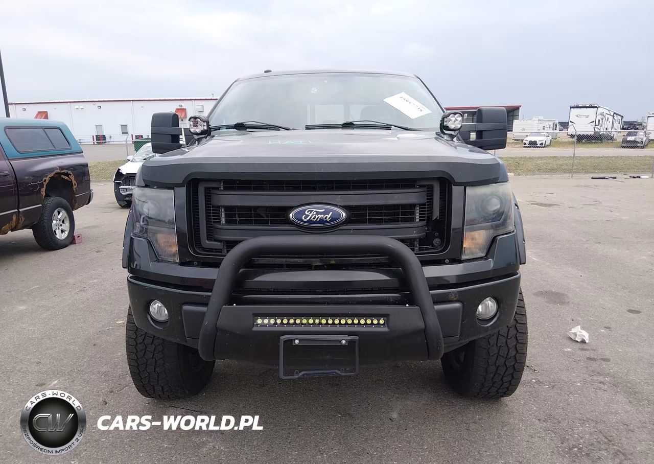 2014 Ford F-150 Fx4 VIN:1FTFW1EF1EKG26843 - 12