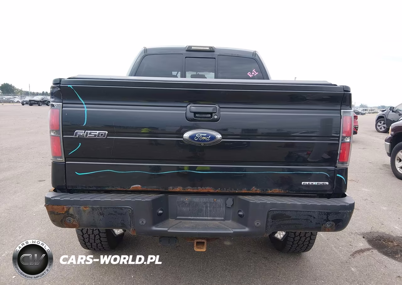 2014 Ford F-150 Fx4 VIN:1FTFW1EF1EKG26843 - 16