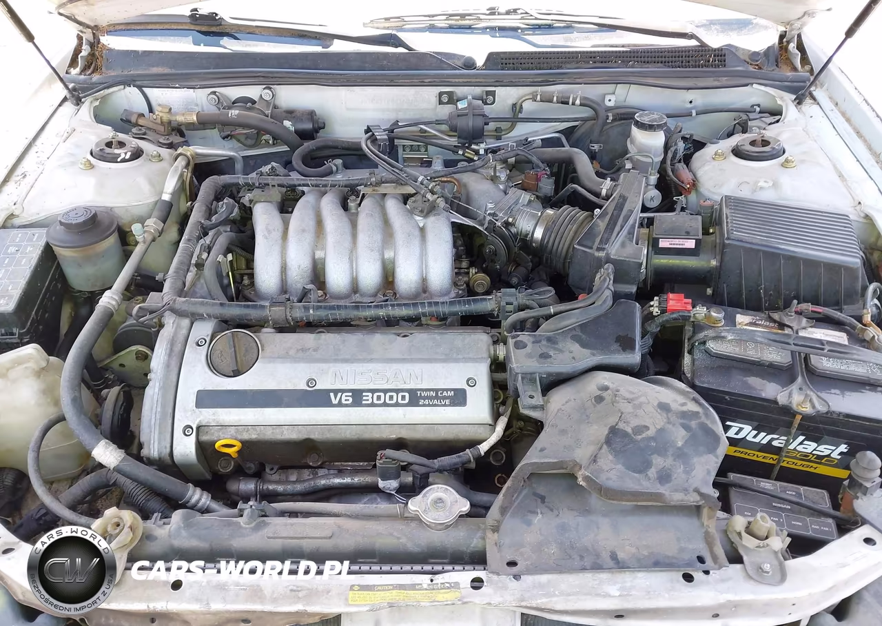 1995 Nissan Maxima Gle-Gxe-Se VIN:JN1CA21D8ST631008 - 10