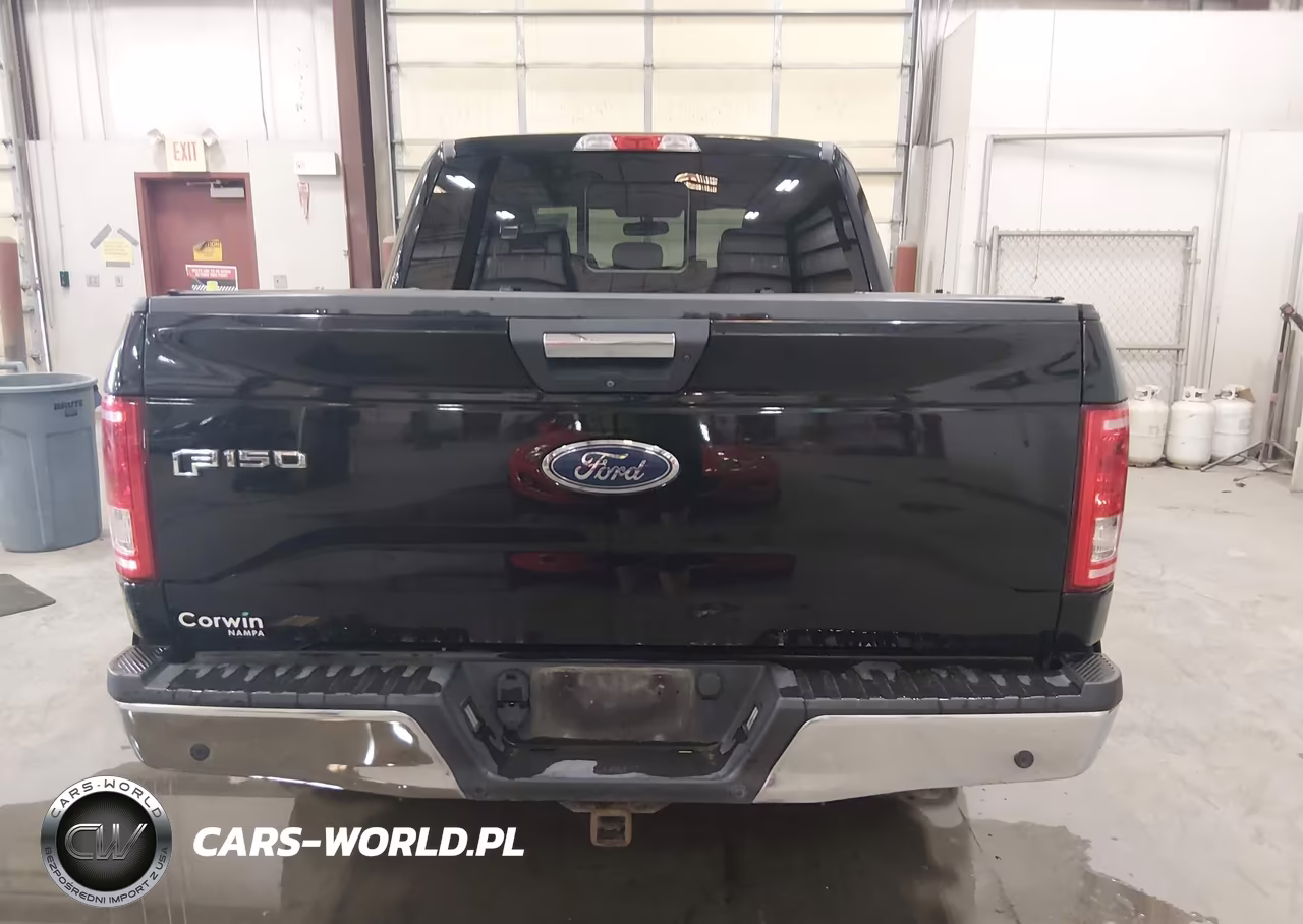 2016 Ford F-150 Xlt VIN:1FTEW1EP6GKE46247 - 16