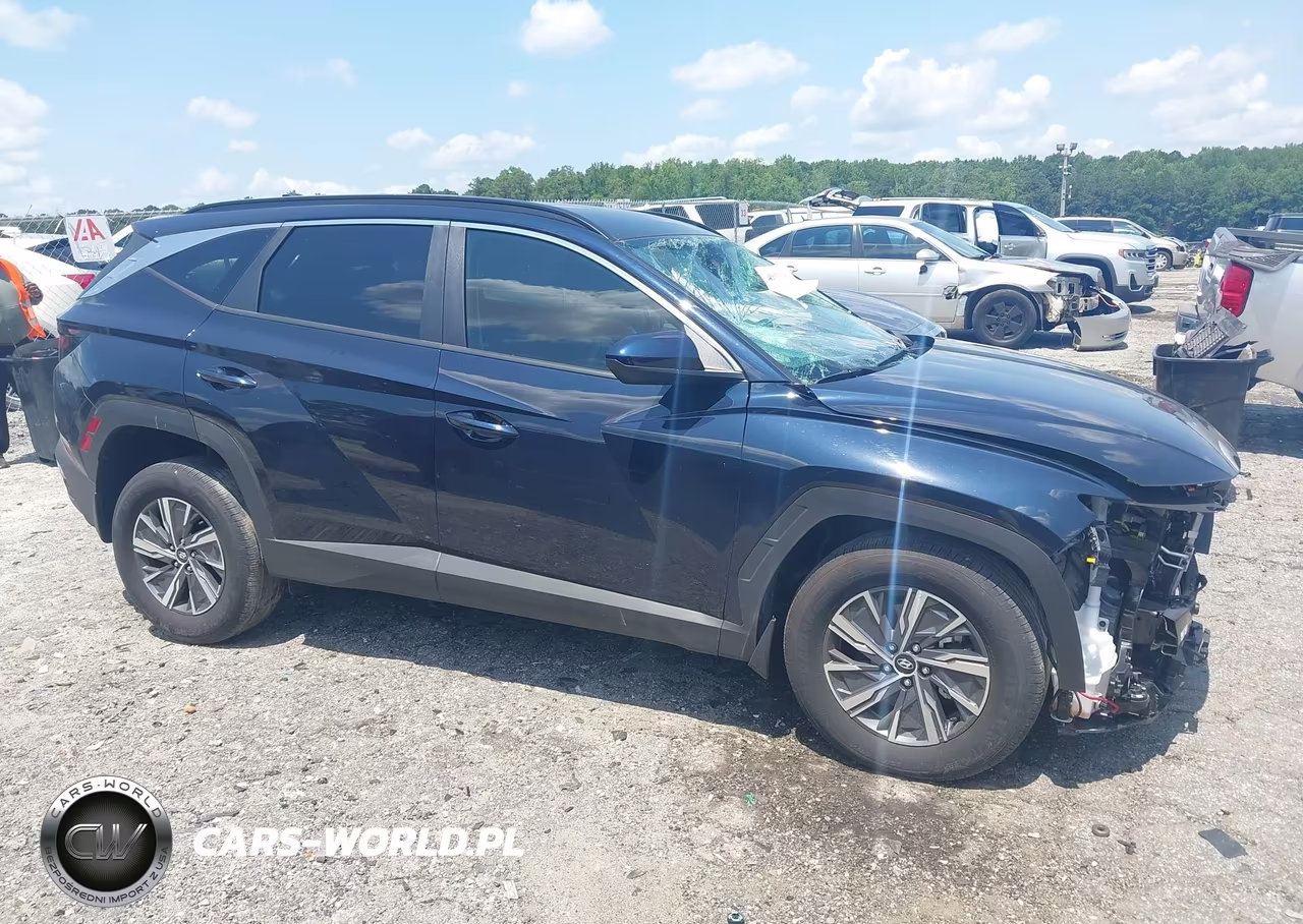 2024 Hyundai Tucson Hybrid Blue VIN:KM8JBCD17RU196507 - 14