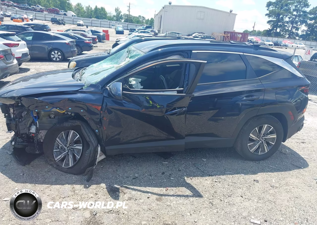2024 Hyundai Tucson Hybrid Blue VIN:KM8JBCD17RU196507 - 15