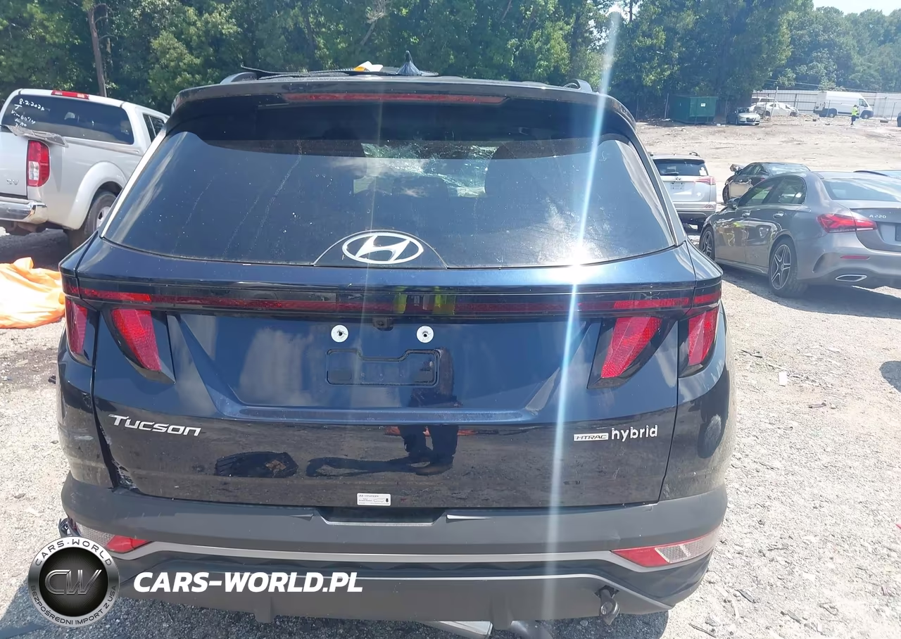 2024 Hyundai Tucson Hybrid Blue VIN:KM8JBCD17RU196507 - 17