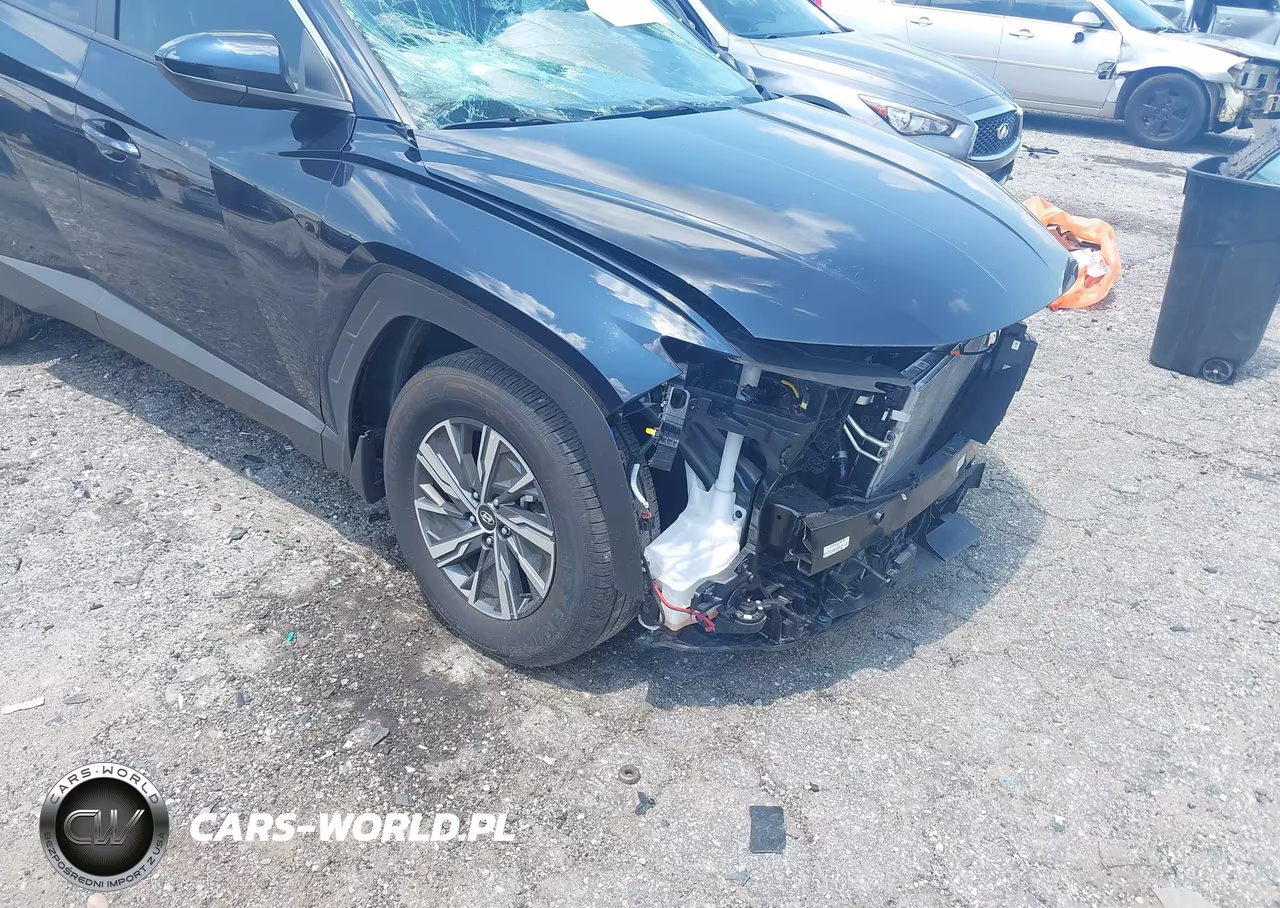 2024 Hyundai Tucson Hybrid Blue VIN:KM8JBCD17RU196507 - 18
