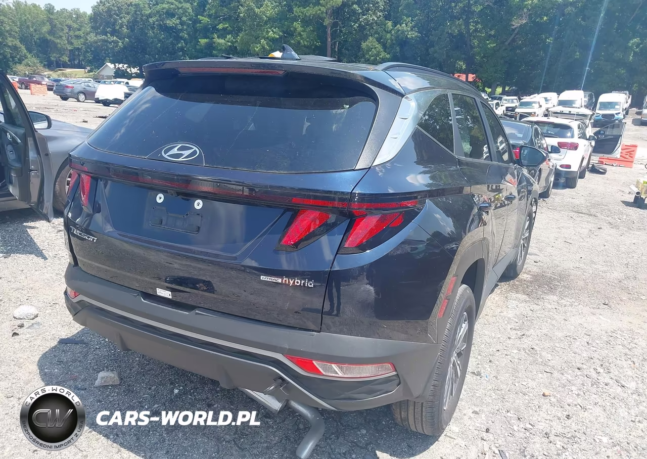 2024 Hyundai Tucson Hybrid Blue VIN:KM8JBCD17RU196507 - 4