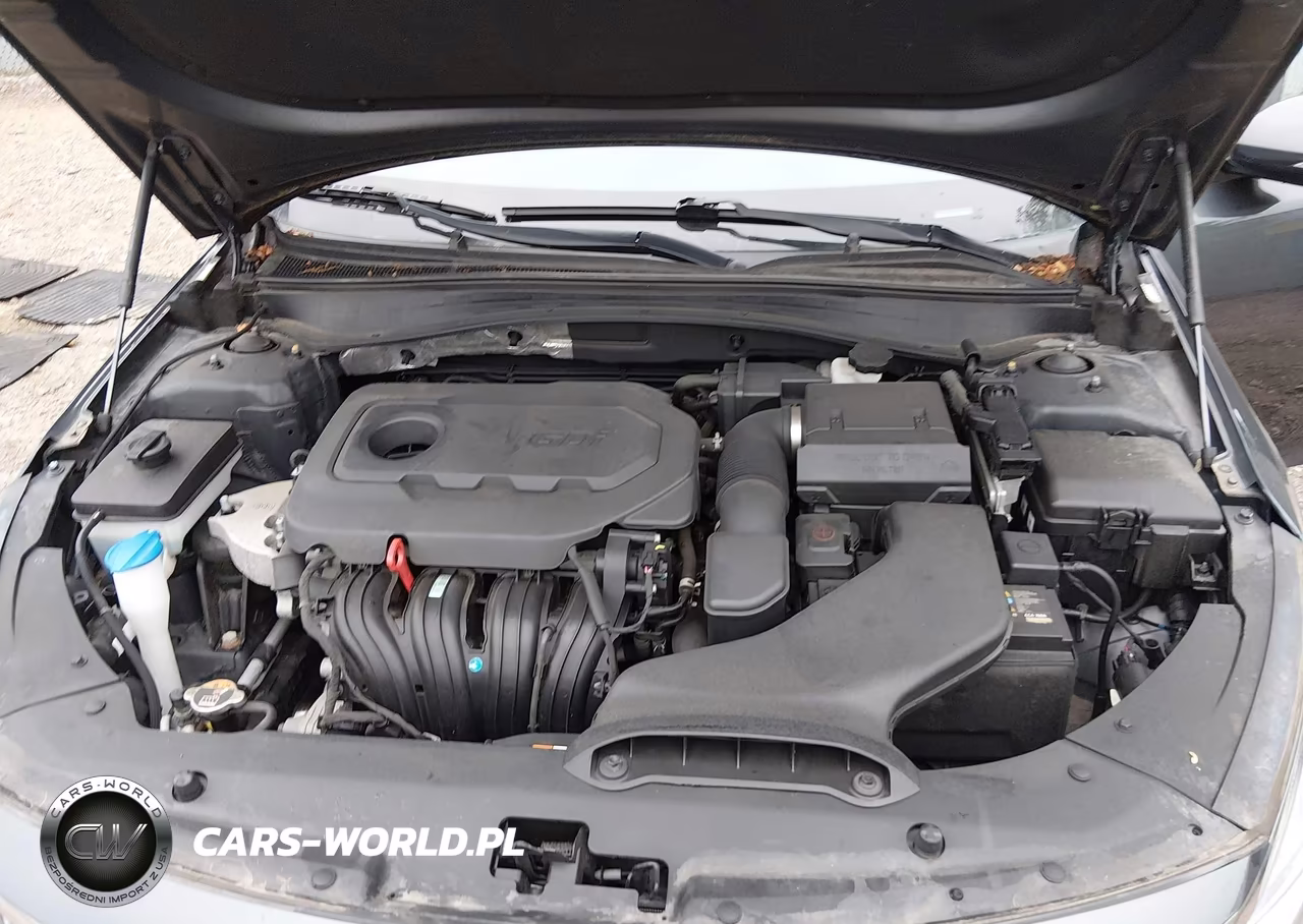 2019 Kia Optima Lx VIN:5XXGT4L39KG375549 - 10