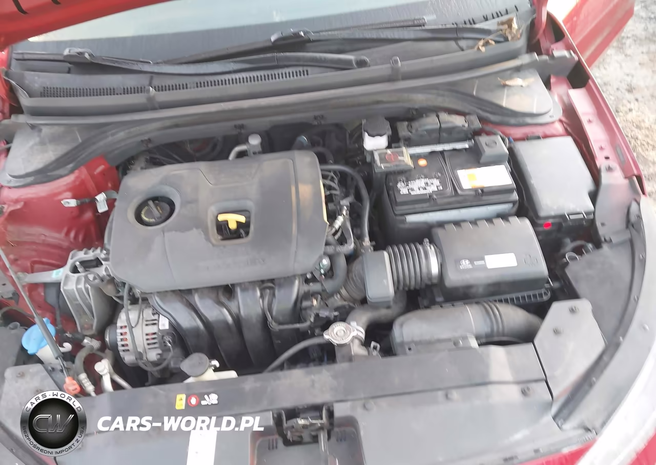 2019 Hyundai Elantra Se VIN:5NPD74LF7KH480130 - 10