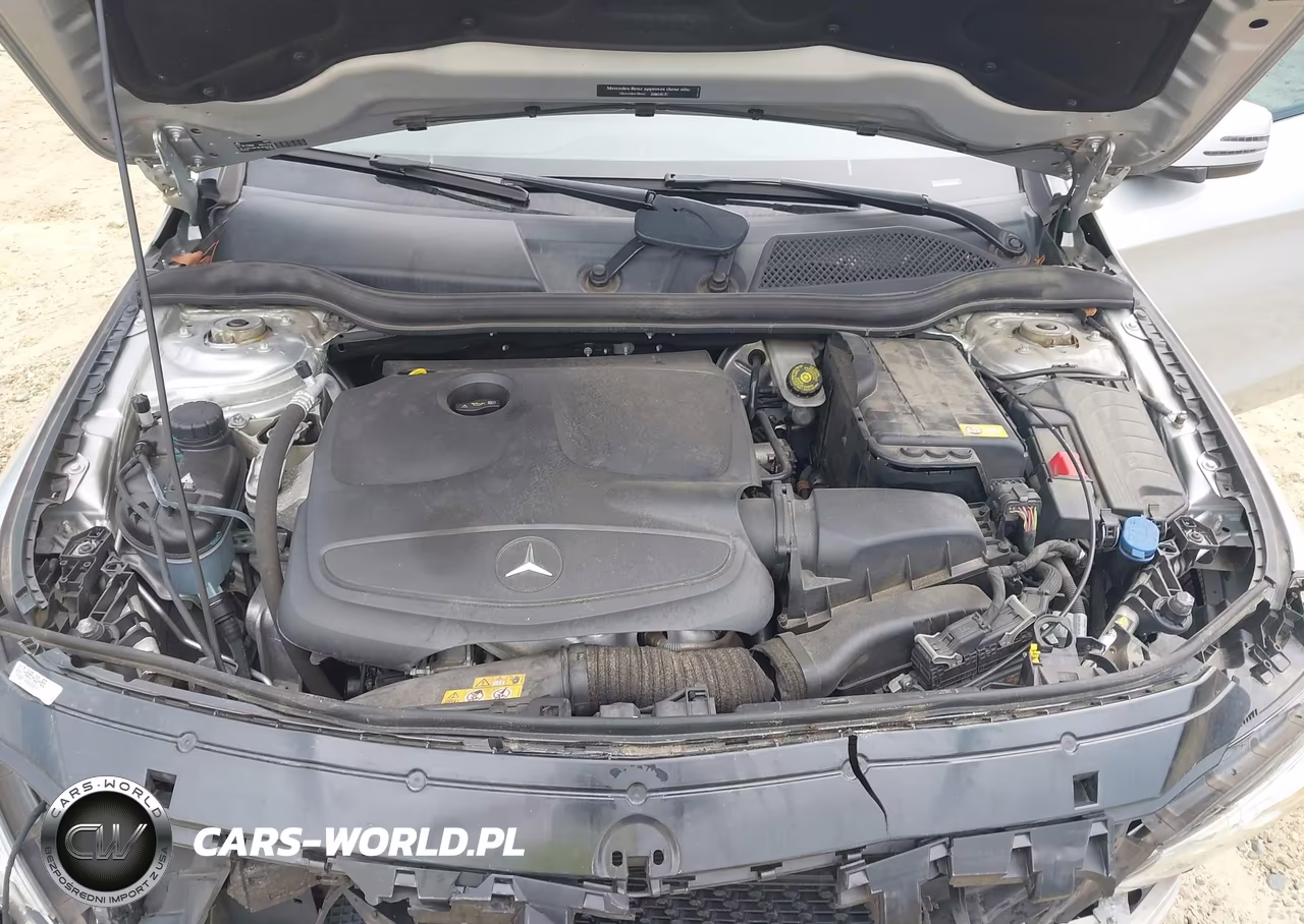 2014 Mercedes-Benz Cla 250 VIN:WDDSJ4EB8EN049079 - 10